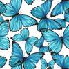 Profile Picture of Anna Hannemann (@@annahannemann) on Tiktok