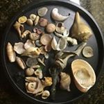 Profile Picture of Julia Ducharme (@keddiemoon) on Instagram