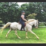 Profile Picture of Amy (@a_mccray) on Instagram