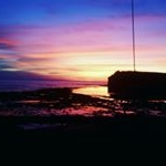 Profile Picture of Jason Donnell (@jasondonnell) on Instagram