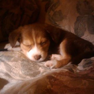 Profile Picture of Lj McClain (@TheLJMcClain) on Facebook