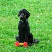 Profile Picture of Joanne Boyer (@joanne-boyer-3) on Quora