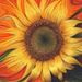 Profile Picture of steve yarbrough (@yarbfamily) on Pinterest