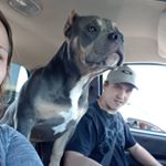 Profile Picture of Eric Baird (@ericbaird.10) on Instagram