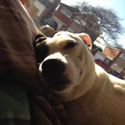 Profile Picture of Jo Ingram (@jingers2503) on Twitter
