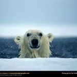 Profile Picture of Jamal Asmar (@love_too2317) on Instagram