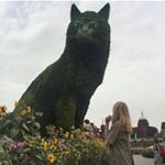 Profile Picture of Alice de Bourg (@alicedebourg) on Instagram