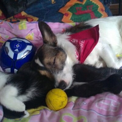 Profile Picture of Lucy Müller (@LucyundCleo) on Twitter