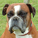 Profile Picture of john clarke (@clarke672001) on Flickr