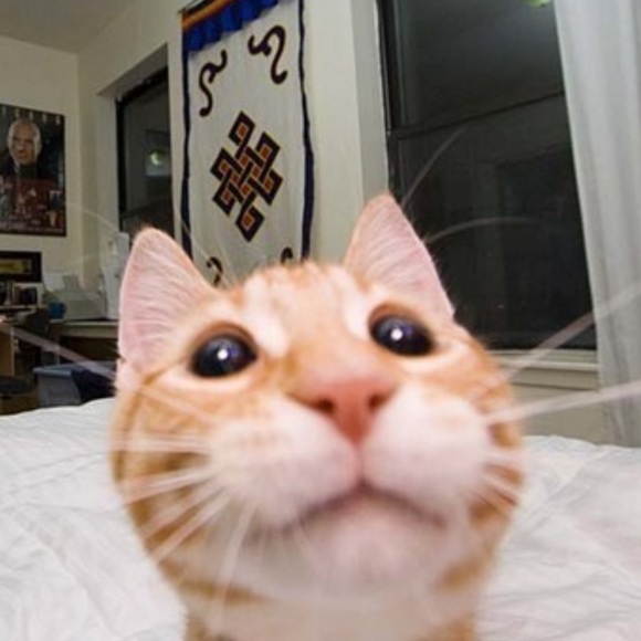 Profile Picture of Bethany Boyd (@bbethanyb06) on Poshmark