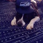 Profile Picture of Robert Phair (@robertphair) on Instagram