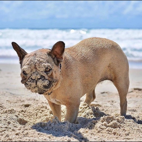 Profile Picture of Eric Morabito (@zeeeewarden) on Poshmark