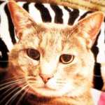 Profile Picture of Maxwell Phillips (@fatmaxphil) on Instagram