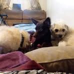 Profile Picture of Jerome Hazlett (@jerome.hazlett.77) on Facebook