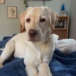 Profile Picture of James Hartley (@James-Hartley) on Facebook