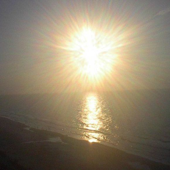 Profile Picture of Lenea Candelmo (@leneac) on Poshmark