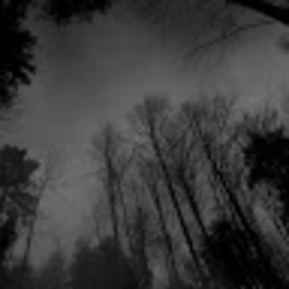 Profile Picture of Dusty Reynolds (@dustyreynold724) on Poshmark