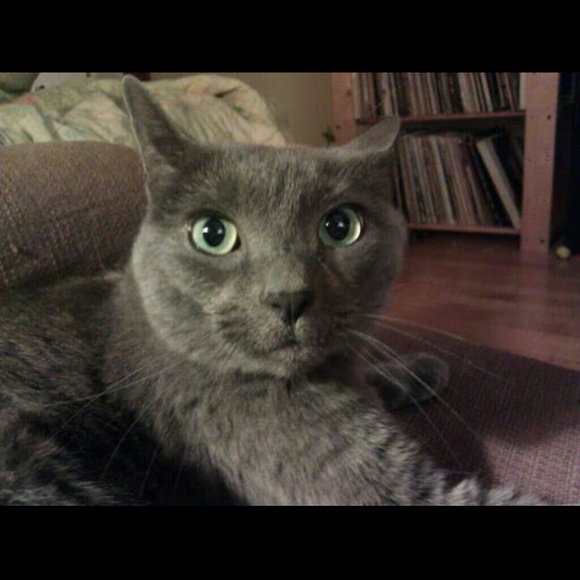 Profile Picture of Edward Moser (@edwhetstone) on Poshmark