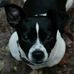 Profile Picture of Lisa Heumann (@lisa.heumann.18) on Facebook