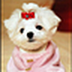 Profile Picture of Yi Zhang (@yiyi715) on Flickr