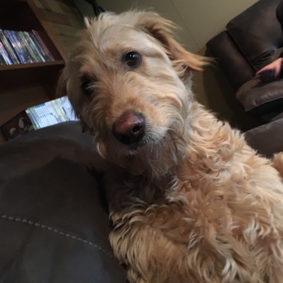 Profile Picture of John Heller (@john_heller) on Poshmark