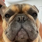 Profile Picture of Michael Hoosier (@hoosyodaddy123) on Instagram