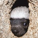 Profile Picture of Julia Nagata (@nagata_julia) on Instagram