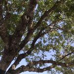 Sage Freeman~ 🌸🍪 - Instagram Profile Picture of Sage Freeman~ 🌸🍪 (@sunset_vibes1224) on Instagram