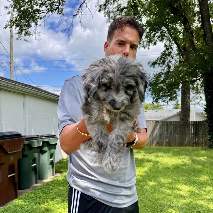 Andrew Oyler - Tiktok Profile Picture of Andrew Oyler (@andrewoyler) on Tiktok