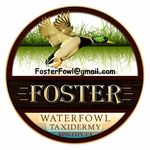 Profile Picture of Foster Waterfowl Taxidermy (@fostertaxidermy) on Instagram