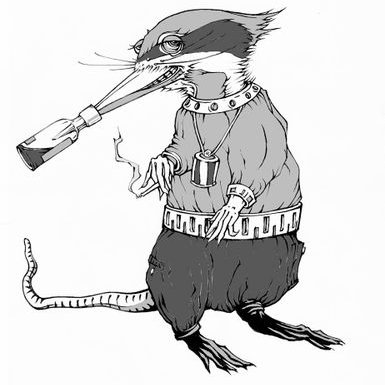 Profile Picture of Thomas Kass (@ThomasMKass) on Twitter