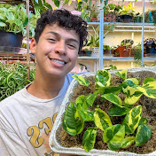 Profile Picture of David Morales (@DavidMoralesPlants) on Youtube