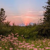 Profile Picture of Alison Palmieri (@alison-palmieri-1) on Quora