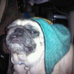 Profile Picture of Jacob Clemens (@jlgoldfish) on Instagram