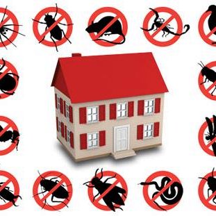 Profile Picture of Isaac McBride (@AApestcontrol) on Twitter