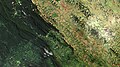 Deforestation in the Democratic Republic of the Congo - Wikipedia Profile Picture of Deforestation in the Democratic Republic of the Congoon Wikipedia