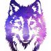 Profile Picture of Galaxy Wolf (@jaimeewilske) on Pinterest