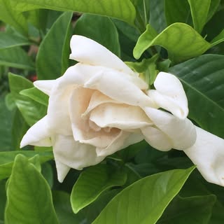 Profile Picture of Joyce Reynolds (@joyce.reynolds) on Instagram