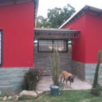 Profile Picture of Lucy Pino (@lucypino67) on Instagram