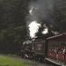 Profile Picture of Barry Glaser (@barry0643) on Pinterest