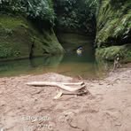 Profile Picture of Gilbert Campos Negrete (@gilbert.camposnegrete) on Facebook