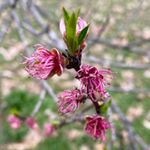 Profile Picture of ruby lynn palmere 🐈 (@mrs.ruby.palmere) on Instagram