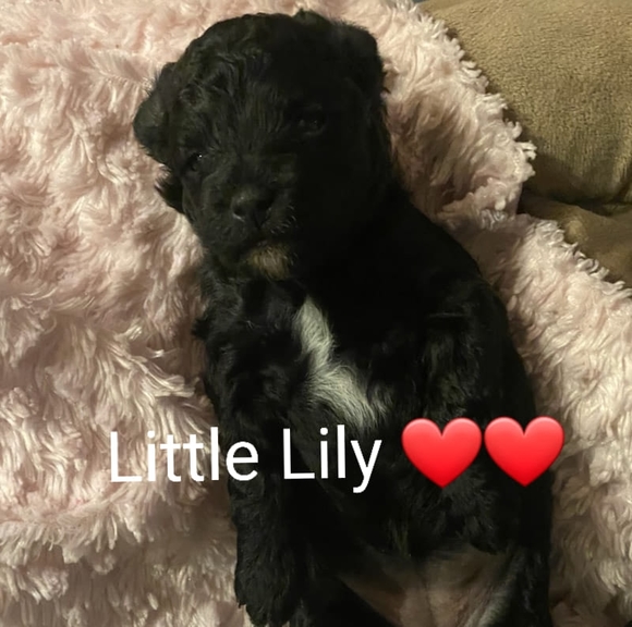 Inga Walsh - Poshmark Profile Picture of Inga Walsh (@ingawalsh) on Poshmark