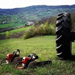 Profile Picture of michelesperoni (@michelesperoni) on Instagram