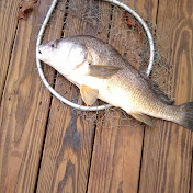 Profile Picture of Misty Stagner (@mistystagner3871) on Youtube