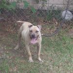 Profile Picture of matthew dingle (@dinglematthew) on Instagram