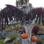 Lana Wilhelm - Instagram Profile Picture of Lana Wilhelm (@wilhelmlana) on Instagram