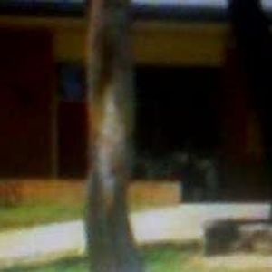 Profile Picture of Tami Gali (@328883986) on Myspace