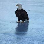 Profile Picture of Paul Hamel (@paul.hamel.9400) on Instagram