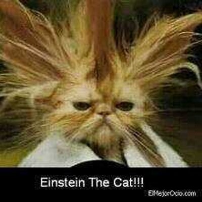 Profile Picture of Lorena Barragan (@lorean19) on Twitter